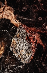 Метеорит Сеймчан 179 г