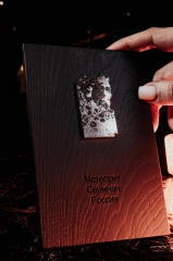 Метеорит Сеймчан 20,8 г