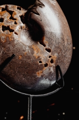 Аммонит Shloenbacchia sp.