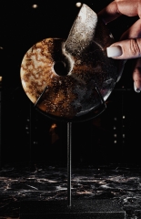 Аммонит Cleoniceras sp.