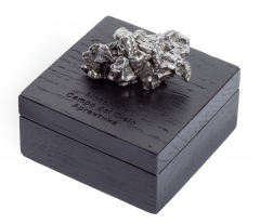 Метеорит Campo del Cielo 41-50 г