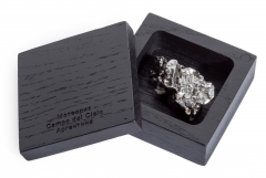 Метеорит Campo del Cielo 41-50 г