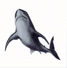 Панно с зубом мегалодона 10,5 см