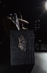 Метеорит Сеймчан 54,3 г