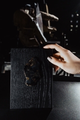 Метеорит Сеймчан 62,5 г