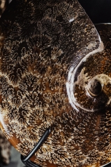 Аммонит Cleoniceras sp.