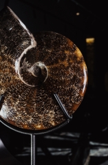 Аммонит Cleoniceras sp.