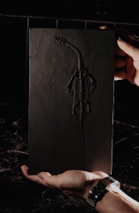 Кейхозавр Keichousaurus hui