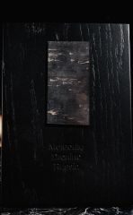 Метеорит Дронино 25,7 г