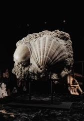 Морской гребешок Gigantopectens sp. и морской еж Scutella sp.