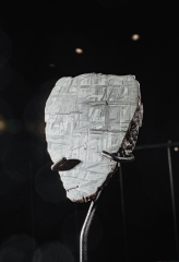 Метеорит Muonionalusta 541 г