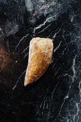 Зуб динозавра Carcharodontosaurus saharicus