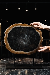 Окаменелая пальма Palmoxylon sp.