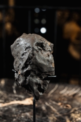 Метеорит Озерки