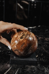 Шар из окаменелого дерева
