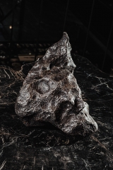 Метеорит Campo del Cielo 20,5 кг