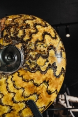 Аммонит Craspedodiscus discofalcatus 