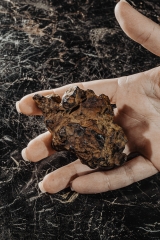Метеорит Сеймчан 336 г