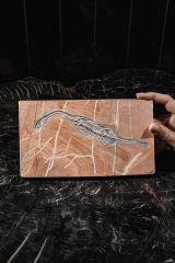 Скелет кейхозавра Keichousaurus hui