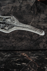 Скелет кейхозавра Keichousaurus hui