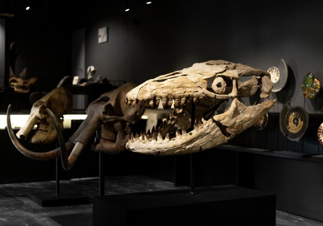 Музей в Санкт-Петербурге